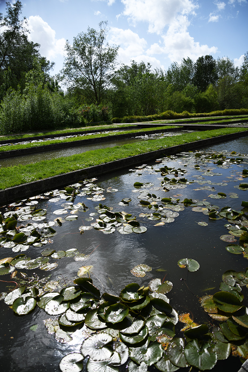 Parc Saint Pierre, Jacqueline Osty