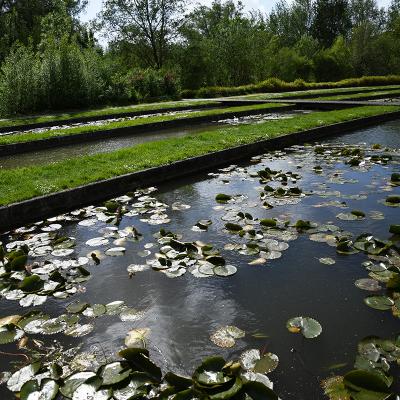 Parc Saint Pierre, Jacqueline Osty