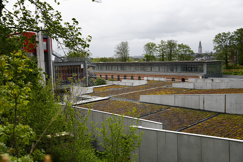 Pôle universitaire de la Citadelle, Renzo Piano